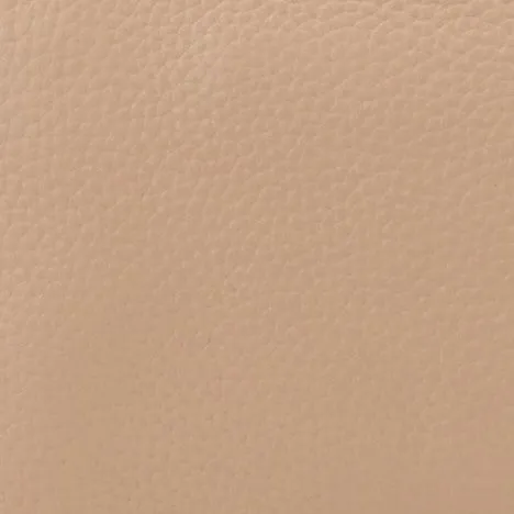 Trisha leather crossbody